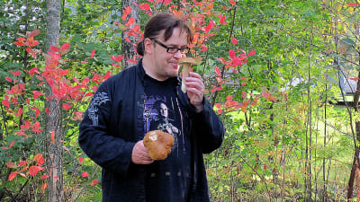 Jyrki Kasvi syksyisessä metsässä sieniretkellä, nuuhkii herkkutattia. Lehdissä ruskan punaisia värejä.