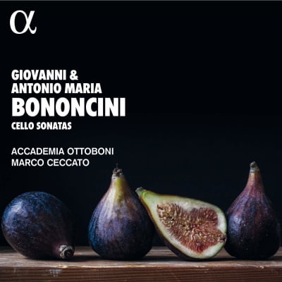 Bononcini: Cello Sonatas / Marco Ceccato