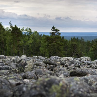 Suuri muinainen merenrantakivikko Kristiinankaupungin Pyhävuorella.