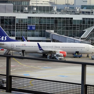 Tässä SAS:n kone Frankfurtin lentokentällä Saksassa marraskuussa 2017.