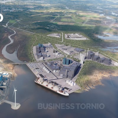 Havainnekuvassa näkyy Tornion meren rannalle suunniteltu teollisuusalue.