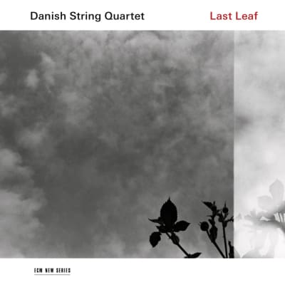 Danish String Quartet / Last Leaf