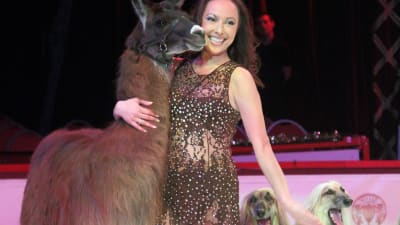 Cirkusartist Joulia Tchakanova uppträder med lama och afghanhundar på Cirkus Finlandia 2017
