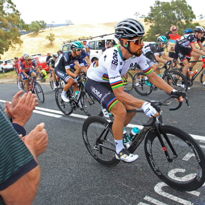 Peter Sagan