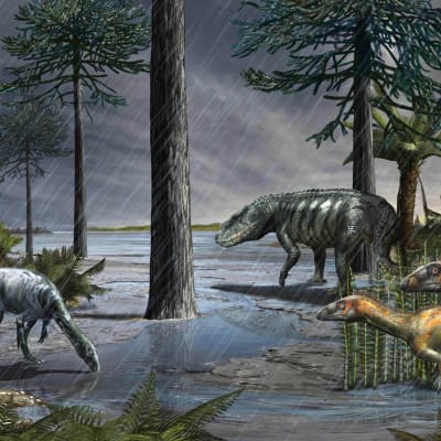 Dinosaurier i en skog med regnet som häller ned.