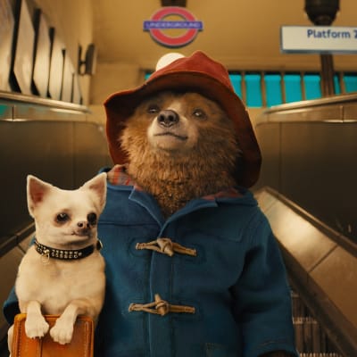 Björnen Paddington med en liten hund i sin väska.