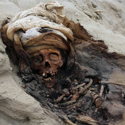 Trujillon kansallisen yliopiston johtava arkeologi uskoo, että lapsiuhreja löydetään arkeologiselta kaivaukselta vielä lisää.