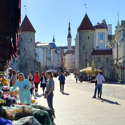 Virugatan i Tallinn med Viruporten och Gamla stan i bakgrunden.
