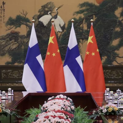 Kinas president Xi Jinping diskuterar med Finlands president Sauli Niinistö under Niinistös besök i Kina år 2019.