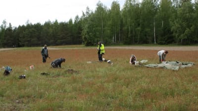 Fyra personer på en åker. Några sitter på huk och gräver, en står och håller i en metalldetektor. Omkring dem ligger ämbar, spadar och annat.