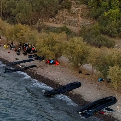 Gummibåtar på Lesbos stränder efter att 13 flyktingbåtar plötsligt kom över sundet från Turkiet.