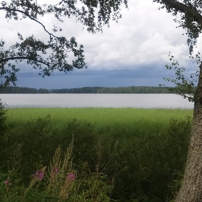 Lojo sjö och stränder inbjuder till naturupplevelser i Porla.