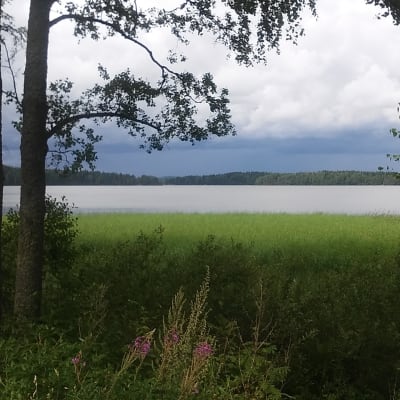 Lojo sjö och stränder inbjuder till naturupplevelser i Porla.
