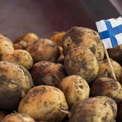 Suomalaisia varhaisperunoita torilla.