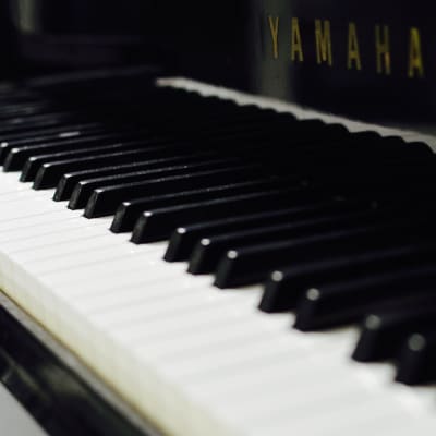 pianon koskettimet, piano