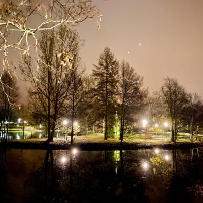 Belysning i Pumpviken i Karis en mörk höstkväll, lamporna speglar sig i vatten och lyser upp träden och parken.