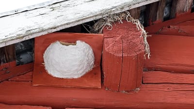 En fågelholk för hussvalor byggd av betong och rödmåladfanér. Fågelholken är uppspikad på en röd yttervägg av stock under takskägget.