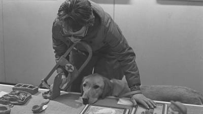 Synskadad med ledarhund, 1960