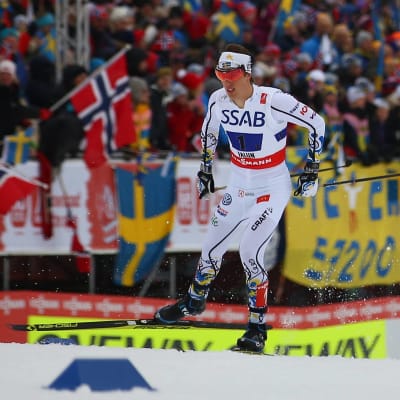 Calle Halfvarsson skidar under VM i Falun 2015.