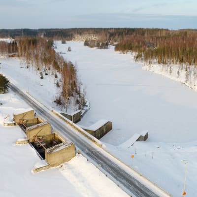 Järvilohelle kunnostettava tulvauoma
