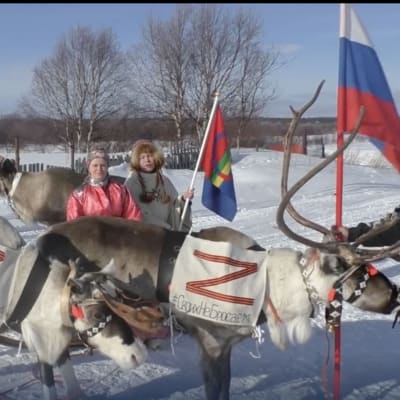 Kuvakaappaus Vkontakte-videosta, jossa näkyy kaksi Z-kirjaimella koristeltua poroa. Kuvassa on kolme henkilöä, joista yksi kantaa saamelaislippua ja toinen Venäjän lippua.