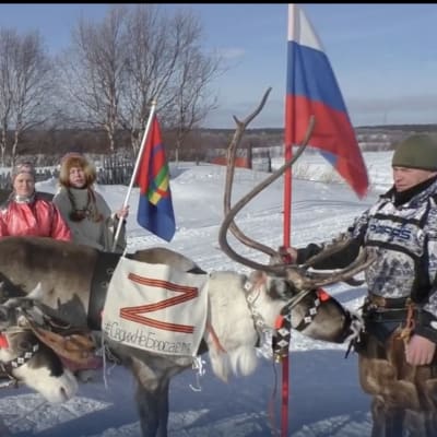 Kuvakaappaus Vkontakte-videosta, jossa näkyy kaksi Z-kirjaimella koristeltua poroa. Kuvassa on kolme henkilöä, joista yksi kantaa saamelaislippua ja toinen Venäjän lippua.