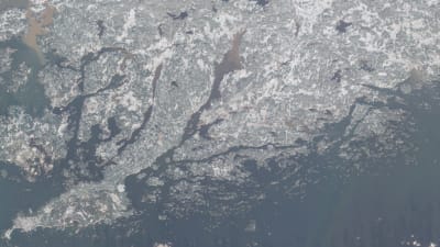 En satellitbild över Raseborg där Pojoviken ser aningen brun ut medan havet är blått.