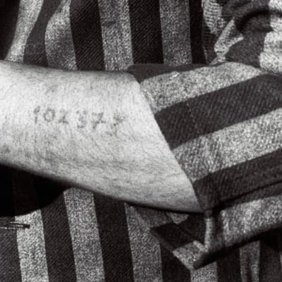 Tunnusnumero tatuoituna keskitysleirivangin käteen. Kuva elokuvasta Yö ja usva