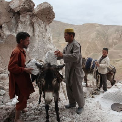Afganistanilaiset miehet kiinnittävät suolakiviä aasin selkään.