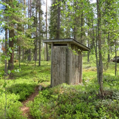 Puinen ulkokäymälä metsäpolun varrella kesällä.