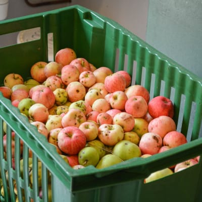 Äpplen i en låda