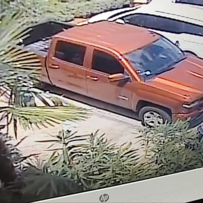 San Antonion akvaarion jakama kuva epäillyistä, jotka kuljettavat varastettua haita lastenrattaissa autoon.
