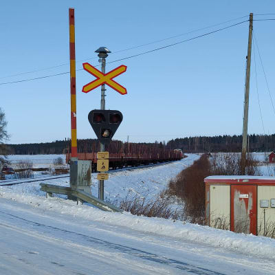 Plankorsning i vinterlandskap. Godståg.
