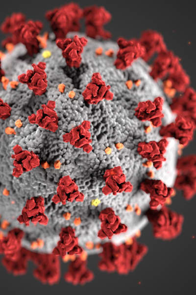 Mikroskopbild av SARS-CoV-2-coronaviruset. Röda stavar sticker ut ur en grå boll. Bakgrunden är mörkgrå.