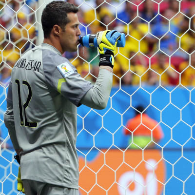 Julio Cesar, VM 2014