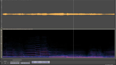 Videokuvakaappaus Audacity-ohjelmasta, jolla on visualisoitu alkuperäinen äänisignaali (ylempi) ja sen spektrogrammi (alempi)