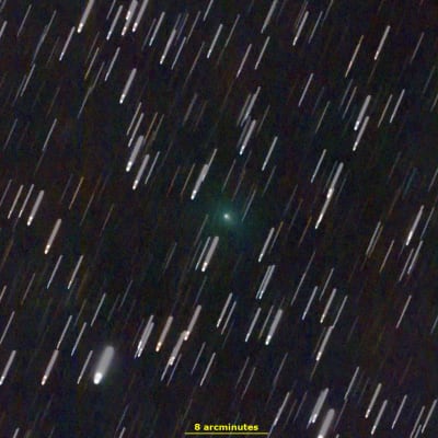 Komeetta C/2019 Y4 kuvattuna 1. maaliskuuta 2020.