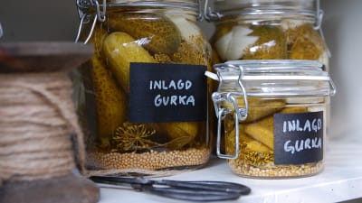 Inlagda gurkor i glasburkar