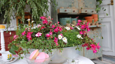 Blomarrangemang på Strömsös veranda.