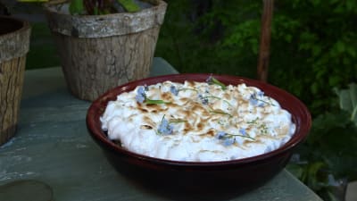 En grillbakad rabarberclafoutis med marängtäcke.
