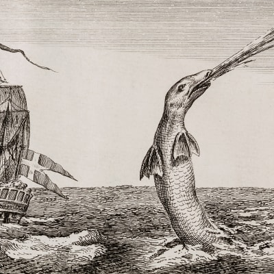 Ett stort, gammalt segelfartyg med stor korsflagga seglar förbi ett långsmalt sjöodjur. Ur boken The great Sea Serpent av Christian Jochum Pontoppidan (1739-1807).