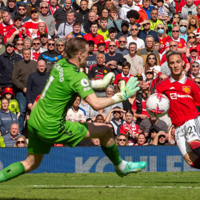 Jordan Pickford räddar ett skott.