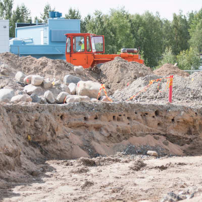 Vieressä kulkevat työkoneet ja rakennustyömaan äänet eivät häiritse lintuja, pesimäalue on rajattu keskelle työmaata.
