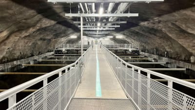 Blombackens reningsverk