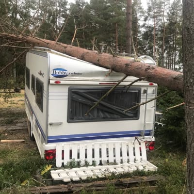 Nedblåst träd över husvagn i Fäboda  i Jakobstad.