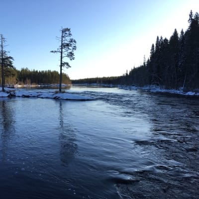 Talvinen Neitikoski virtaa Lieksanjoessa Ruunaan reitkeilualueen kupeessa.
