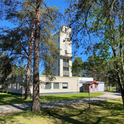 Sodankylän vanha paloasemarakennus, mäntyjä ja pihlajia edustalla. 