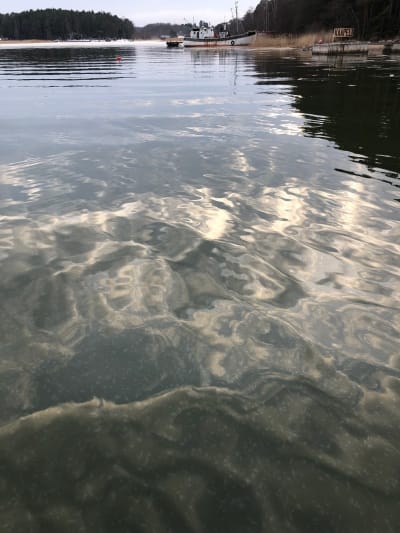 Olja skimrar på vattenytan i en vik. Oljan härstammar från en trålare borta vid en brygga.