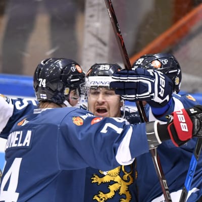 Finlands spelare firar Pekka Jormakkas mål.