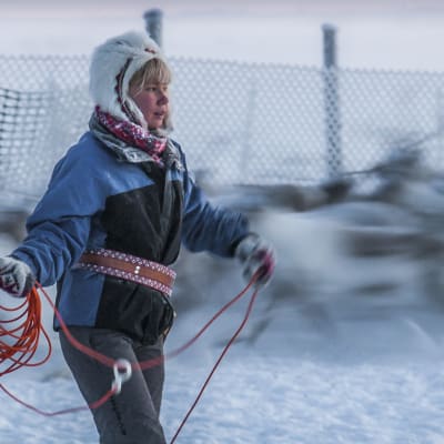 Miten matkailu ja saamelaisten perinteinen porotalous mahtuvat Lappiin?